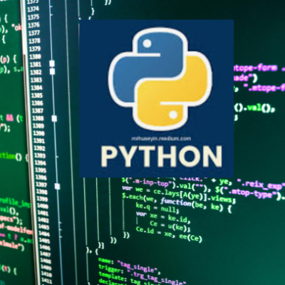 Online Training : Phyton Fundamental