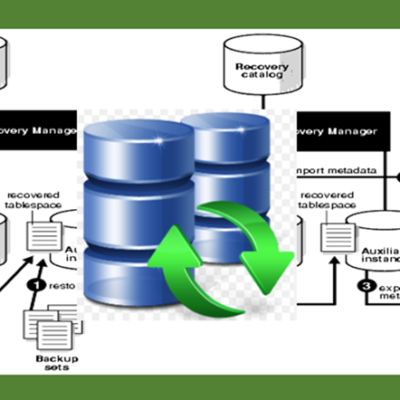 Online Bootcamp 3 : Strategi Backup Recovery Database Oracle 19c