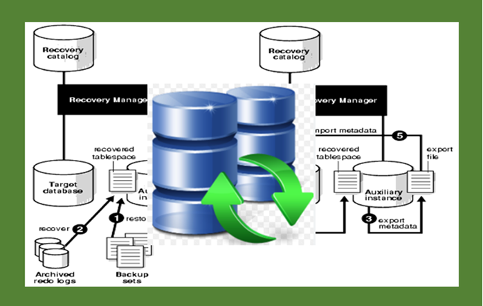Online Bootcamp 3 : Strategi Backup Recovery Database Oracle 19c